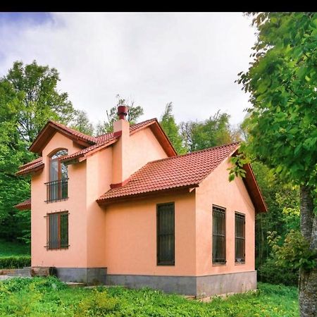 Dilijan Dream House! 3 Bedroom Amazing Villa In National Park! Eksteriør bilde